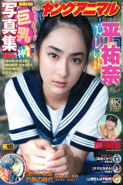 洪金宝电影大全